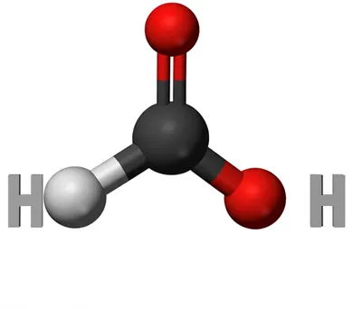 Illustration phenols - Image 1