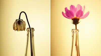 Illustration reheating - Image 1