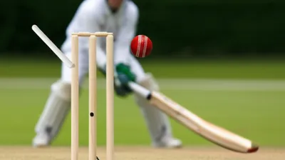 Illustration bowled - Image 1