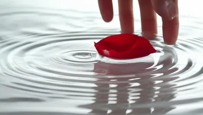 Illustration passes - Image 1