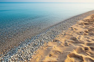 Illustration dobbin - Image 1