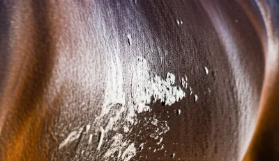 Illustration lather - Image 1