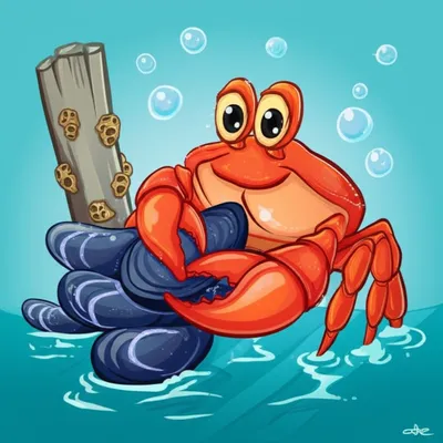 Illustration barnacles - Image 1