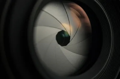 Illustration dilate - Image 1