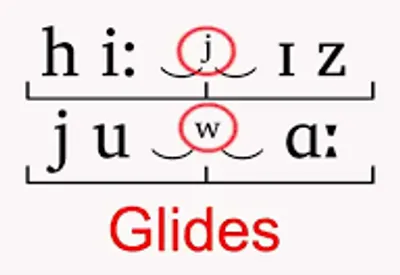 Illustration glide - Image 2