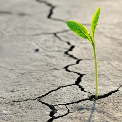 Illustration against - Image 1