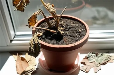 Illustration neglecting