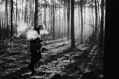 Illustration mushrooming - Image 2