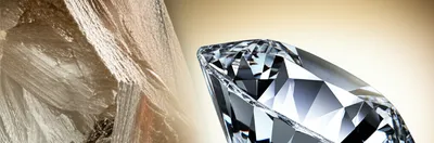 Illustration subtilize - Image 1