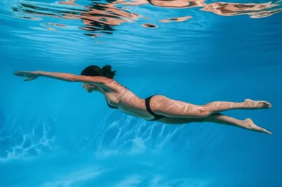 Illustration swam - Image 1