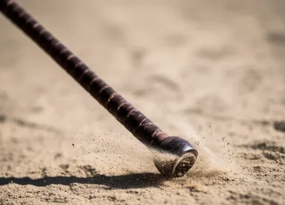 Illustration crop - Image 1