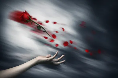 Illustration ravished