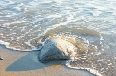 Illustration lips - Image 1