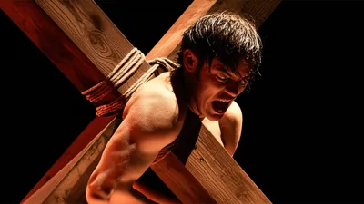 Illustration cruciate - Image 2