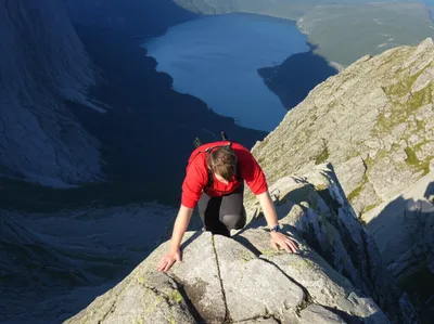 Illustration coon - Image 1