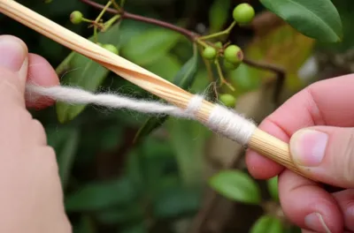 Illustration spindles - Image 1