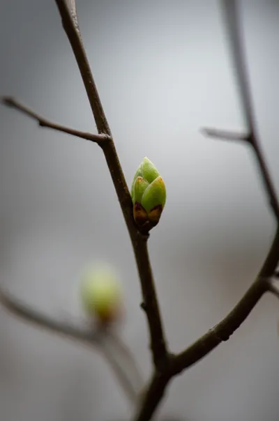 Illustration rest - Image 1