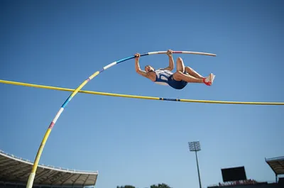 Illustration pole - Image 1