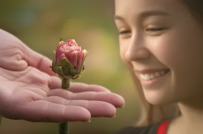 Illustration buddy - Image 1