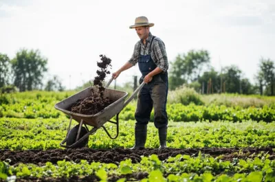 Illustration mucking - Image 1