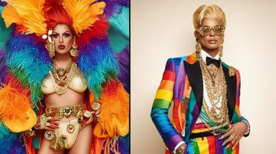 Illustration caparisons - Image 1