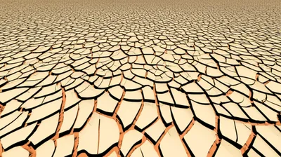 Illustration flaking - Image 1