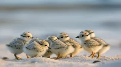 Illustration peeps - Image 1