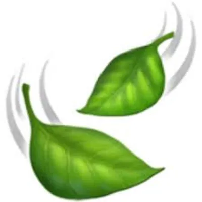 Illustration stir - Image 3