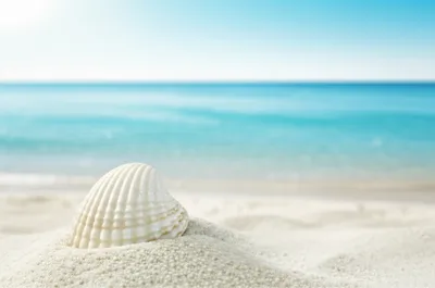 Illustration porcelain - Image 1