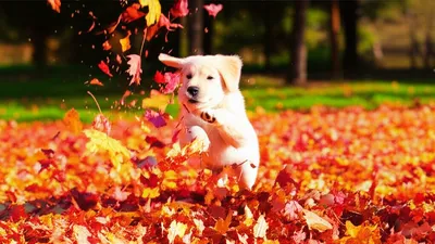 Illustration tumbled - Image 1