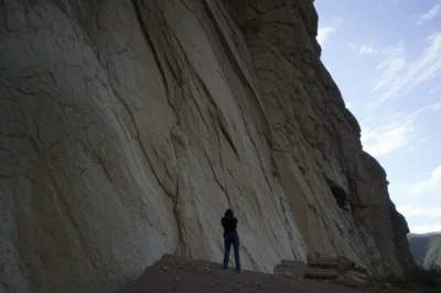 Illustration tall - Image 1