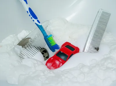 Illustration clams - Image 1