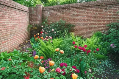 Illustration include - Image 1