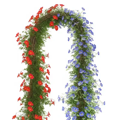 Illustration couples - Image 1