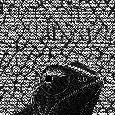 Illustration evasions - Image 1