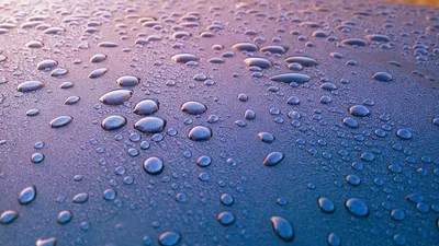 Illustration wept - Image 2