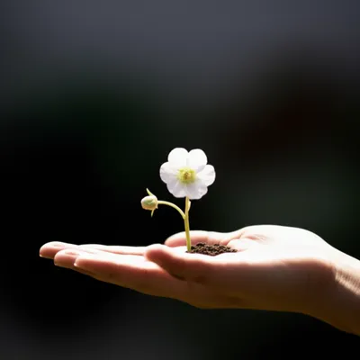 Illustration concern - Image 1