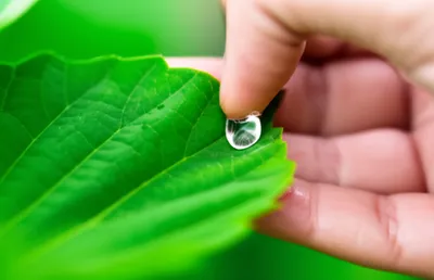 Illustration tasted - Image 1