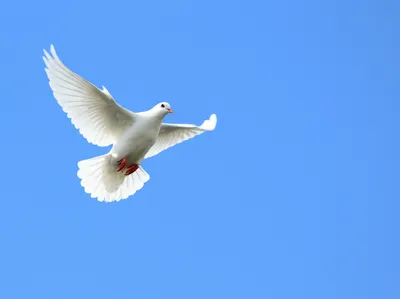 Illustration unspotted - Image 1