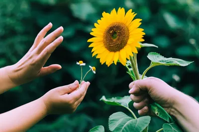 Illustration yea - Image 1