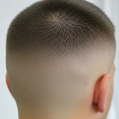 Illustration buzzcut - Image 1