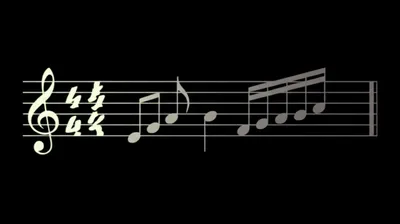 Illustration diminutions - Image 1