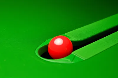 Illustration potted - Image 1