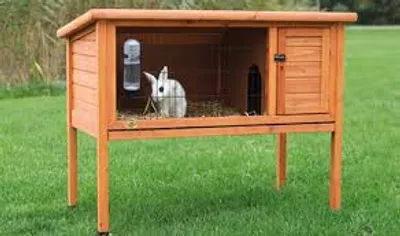 Illustration hutch - Image 2