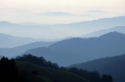 Illustration fog - Image 1