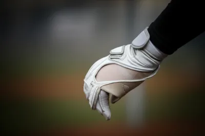 Illustration inner - Image 1