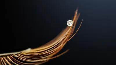 Illustration nanograms - Image 1