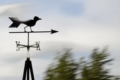 Illustration veering - Image 1