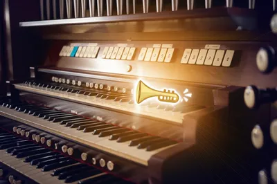 Illustration cornet - Image 1