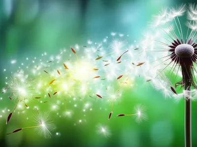 Illustration exhaled - Image 1